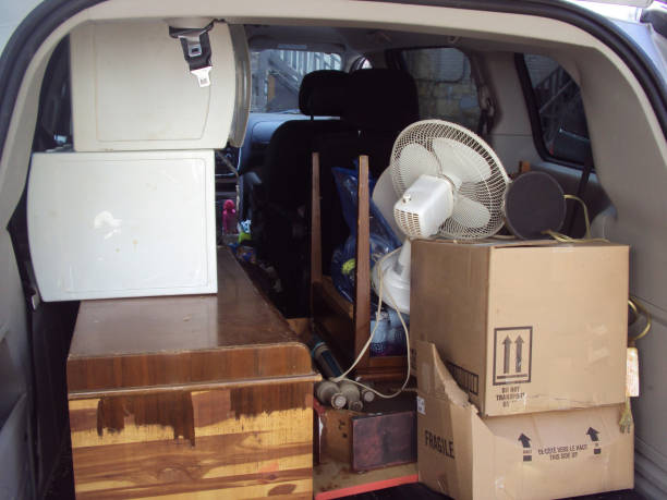 Best Attic Cleanout  in Pine City, MN